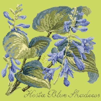 Hosta Blue Shadows Needlepoint Kit Kits Elizabeth Bradley Design Pale Lime