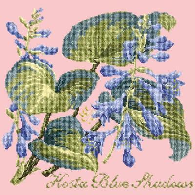 Hosta Blue Shadows Needlepoint Kit Kits Elizabeth Bradley Design Pale Rose