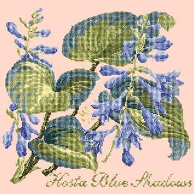 Hosta Blue Shadows Needlepoint Kit Kits Elizabeth Bradley Design Salmon Pink