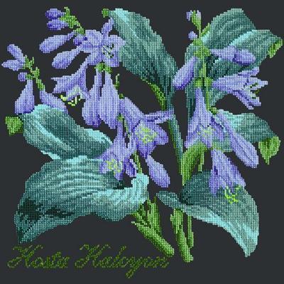 Hosta Halcyon Needlepoint Kit Kits Elizabeth Bradley Design Black 