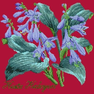 Hosta Halcyon Needlepoint Kit Kits Elizabeth Bradley Design Bright Red 