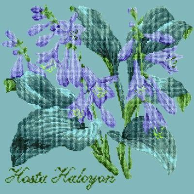 Hosta Halcyon Needlepoint Kit Kits Elizabeth Bradley Design Duck Egg Blue 