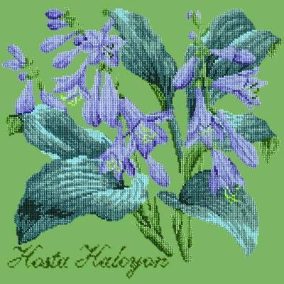 Hosta Halcyon Needlepoint Kit Kits Elizabeth Bradley Design Grass Green 