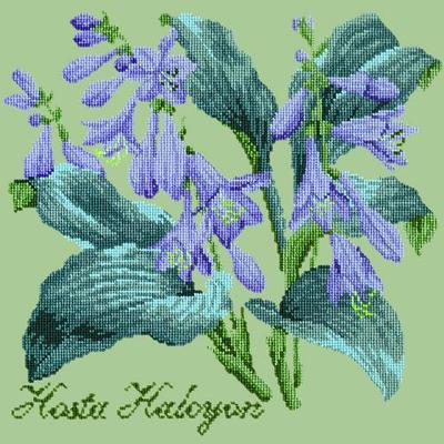 Hosta Halcyon Needlepoint Kit Kits Elizabeth Bradley Design Pale Green 