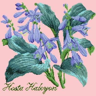 Hosta Halcyon Needlepoint Kit Kits Elizabeth Bradley Design Pale Rose 