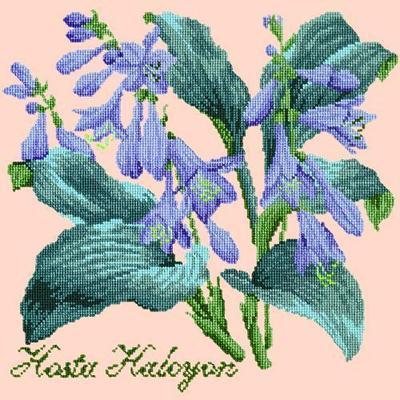 Hosta Halcyon Needlepoint Kit Kits Elizabeth Bradley Design Salmon Pink 