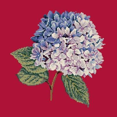 Hydrangea Needlepoint Kit Kits Elizabeth Bradley Design Bright Red 