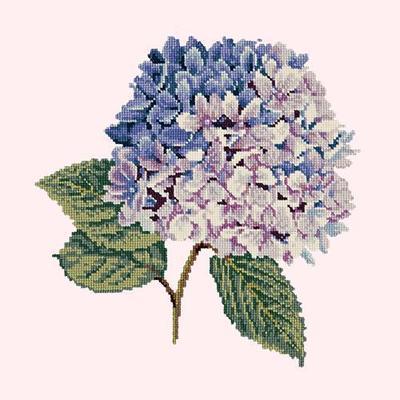 Hydrangea Needlepoint Kit Kits Elizabeth Bradley Design Cream 