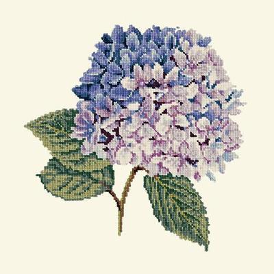 Hydrangea Needlepoint Kit Kits Elizabeth Bradley Design Winter White 