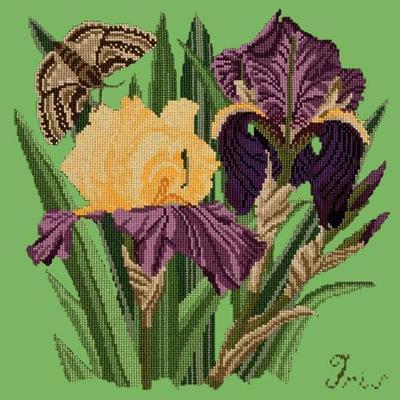 Iris Needlepoint Kit Kits Elizabeth Bradley Design Grass Green