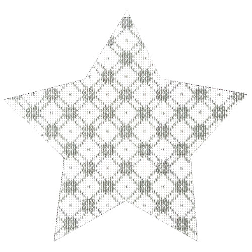 Jessie's Star Silver Painted Canvas Whimsy & Grace - 1