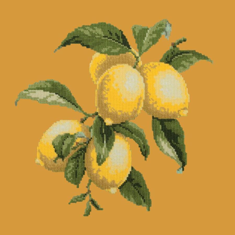 Lemons Needlepoint Kit Kits Elizabeth Bradley Design Yellow