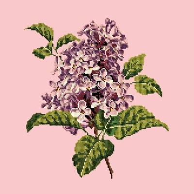 Lilac Needlepoint Kit Kits Elizabeth Bradley Design Pale Rose