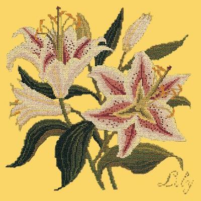 Lily Needlepoint Kit Kits Elizabeth Bradley Design Sunflower Yellow