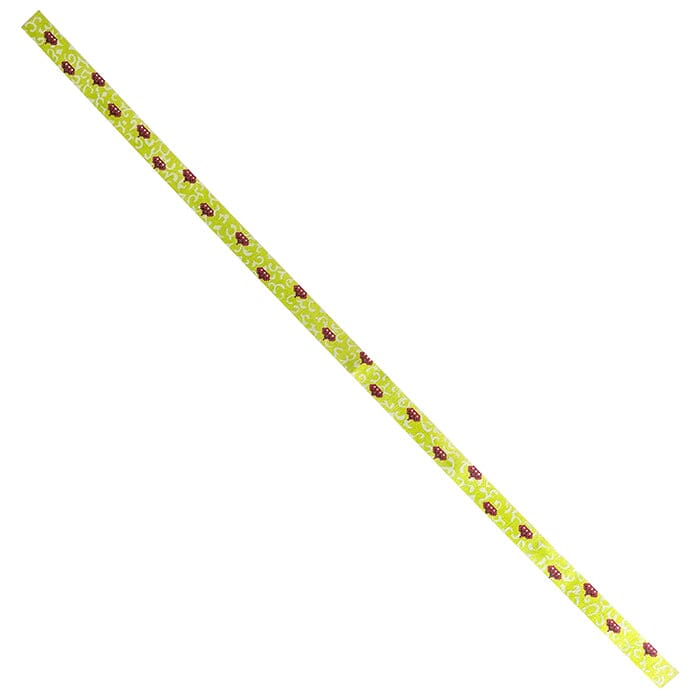 Lime and Red Patterned Belt Painted Canvas Colors of Praise