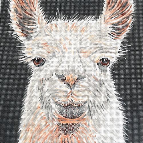 Llama Painted Canvas The Meredith Collection - 1