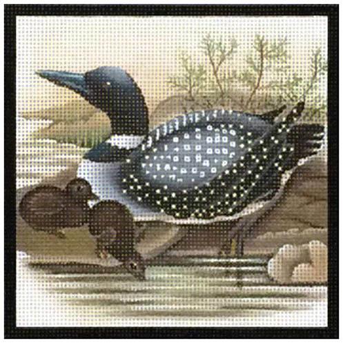 Loon on 18 Painted Canvas Melissa Shirley Designs