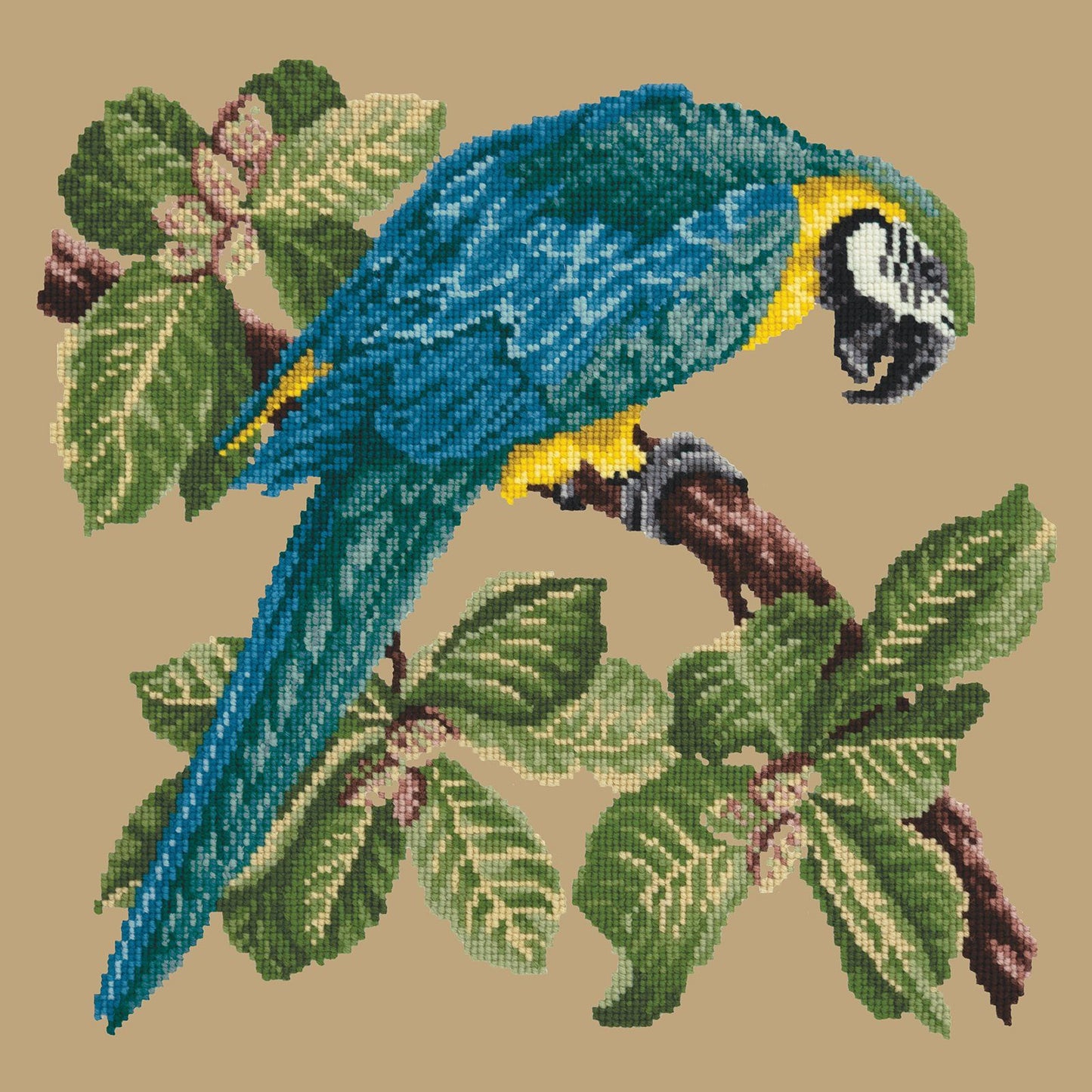 Macaw Needlepoint Kit Kits Elizabeth Bradley Design 