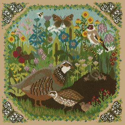 Meadow Needlepoint Kit Kits Elizabeth Bradley Design Sand 