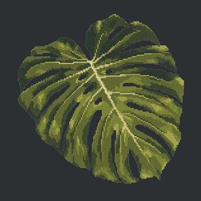 Monstera Leaf Needlepoint Kit Kits Elizabeth Bradley Design Black - 13