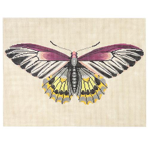 Moth Magenta/Green/Yellow Painted Canvas The Meredith Collection - 1
