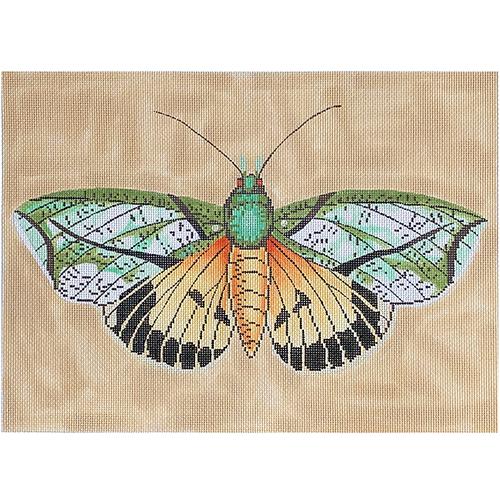 Moth Orange/Green/Black Painted Canvas The Meredith Collection - 1