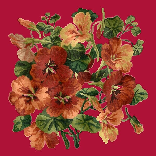 Nasturtium Kits Elizabeth Bradley Design Bright Red