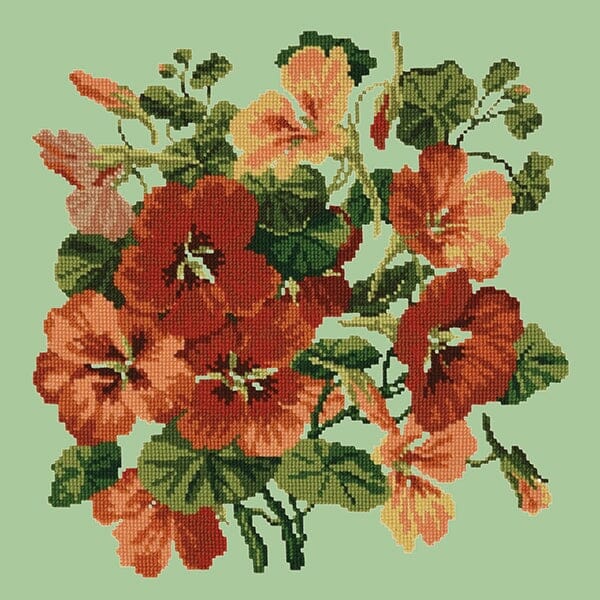 Nasturtium Kits Elizabeth Bradley Design Pale Green