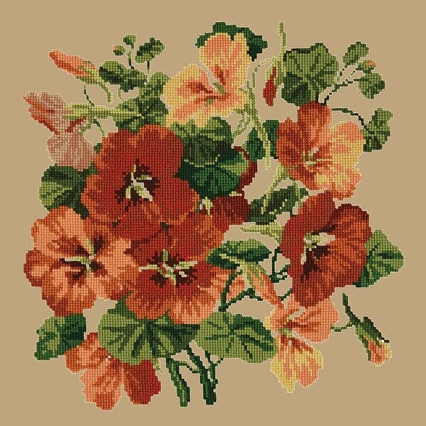 Nasturtium Kits Elizabeth Bradley Design Sand