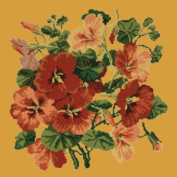 Nasturtium Kits Elizabeth Bradley Design Yellow
