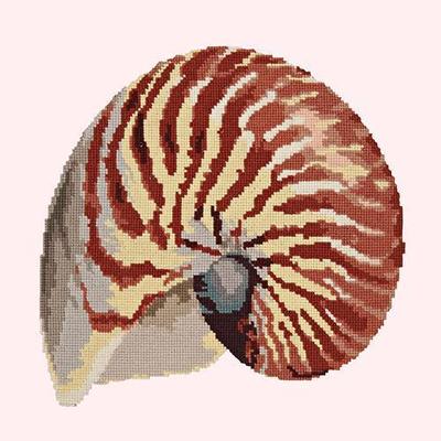Nautilus Needlepoint Kit Kits Elizabeth Bradley Design Cream