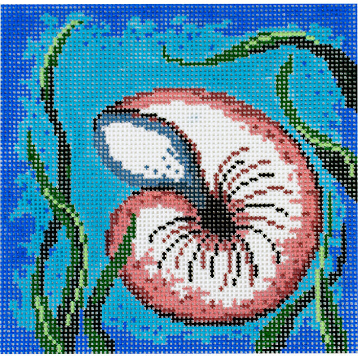 Nautilus with White Coral on Aqua Painted Canvas Patti Mann - 1