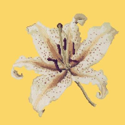 Oriental Lily Needlepoint Kit Kits Elizabeth Bradley Design Sunflower Yellow