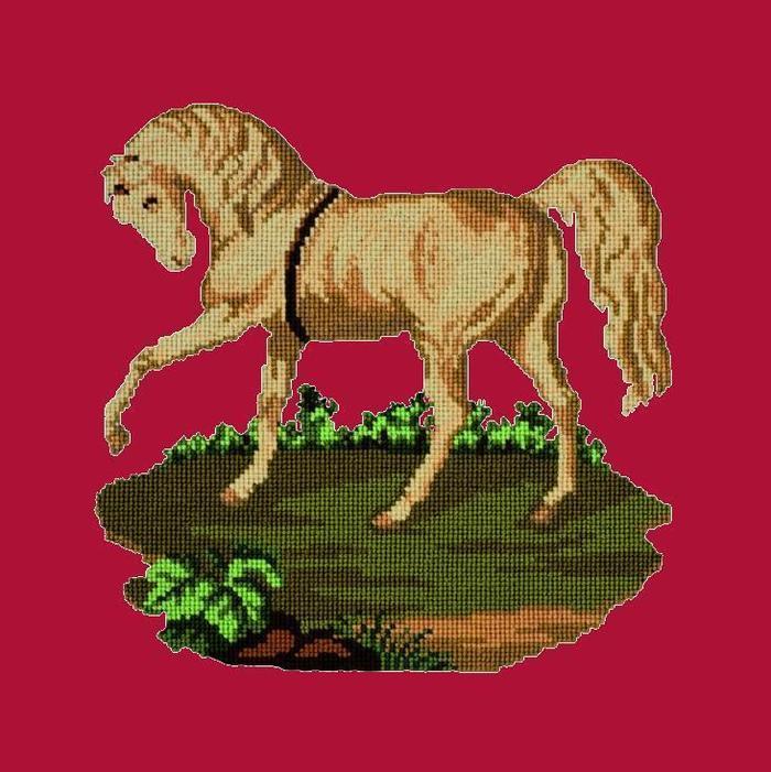 Palomino Horse Needlepoint Kit Kits Elizabeth Bradley Design Bright Red
