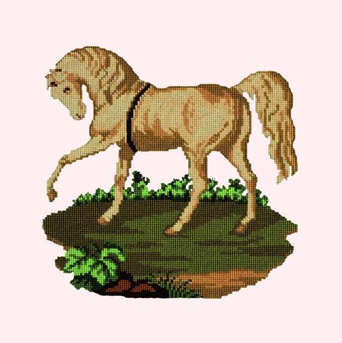 Palomino Horse Needlepoint Kit Kits Elizabeth Bradley Design Cream