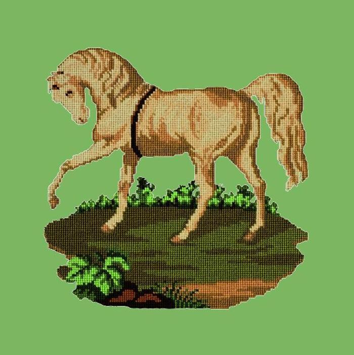 Palomino Horse Needlepoint Kit Kits Elizabeth Bradley Design Grass Green