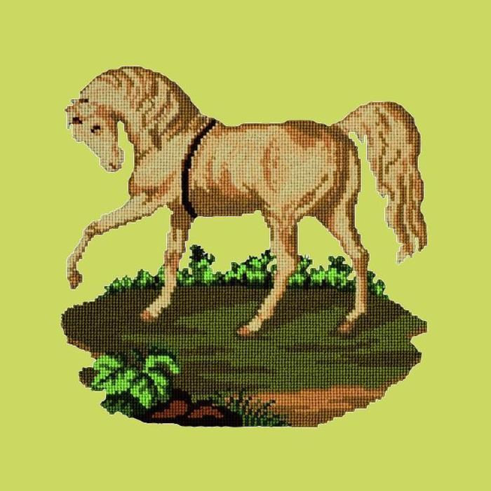 Palomino Horse Needlepoint Kit Kits Elizabeth Bradley Design Pale Lime