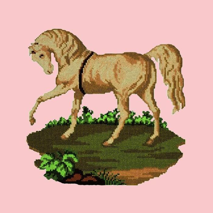 Palomino Horse Needlepoint Kit Kits Elizabeth Bradley Design Pale Rose