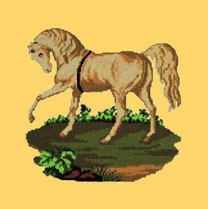 Palomino Horse Needlepoint Kit Kits Elizabeth Bradley Design Sunflower Yellow