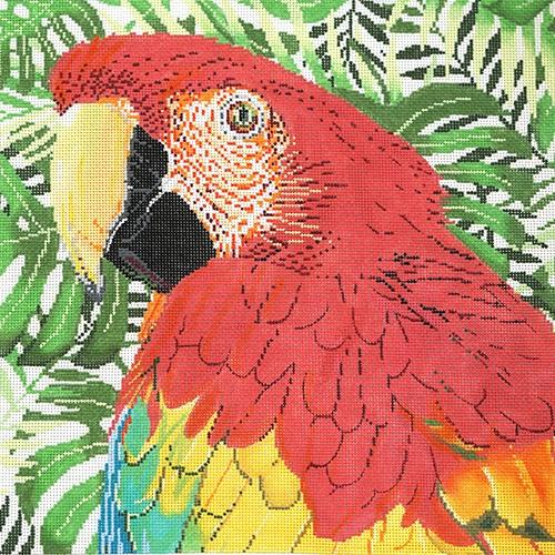 Parrot Scarlet Macaw Painted Canvas The Meredith Collection - 1