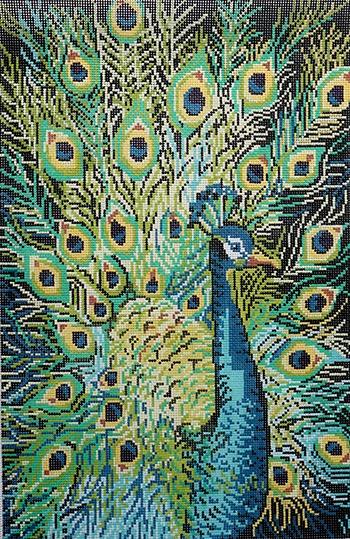 Peacock Profile Painted Canvas Birds of a Feather - 1