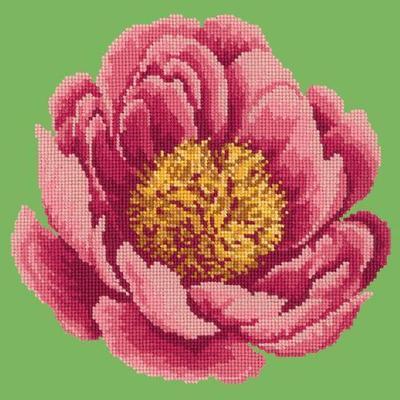 Peony Needlepoint Kit Kits Elizabeth Bradley Design
