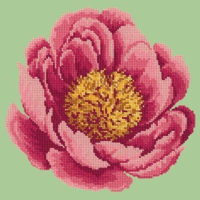 Peony Needlepoint Kit Kits Elizabeth Bradley Design