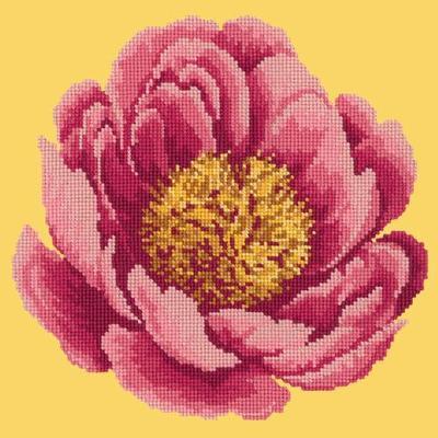 Peony Needlepoint Kit Kits Elizabeth Bradley Design