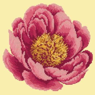 Peony Needlepoint Kit Kits Elizabeth Bradley Design