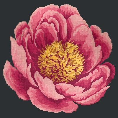 Peony Needlepoint Kit Kits Elizabeth Bradley Design