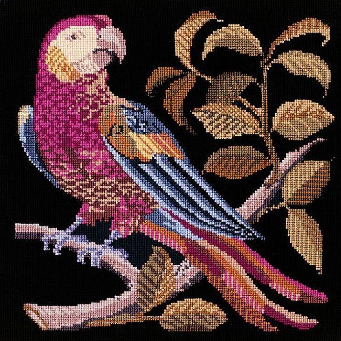 Pete the Parrot Needlepoint Kit Kits Elizabeth Bradley Design Black 