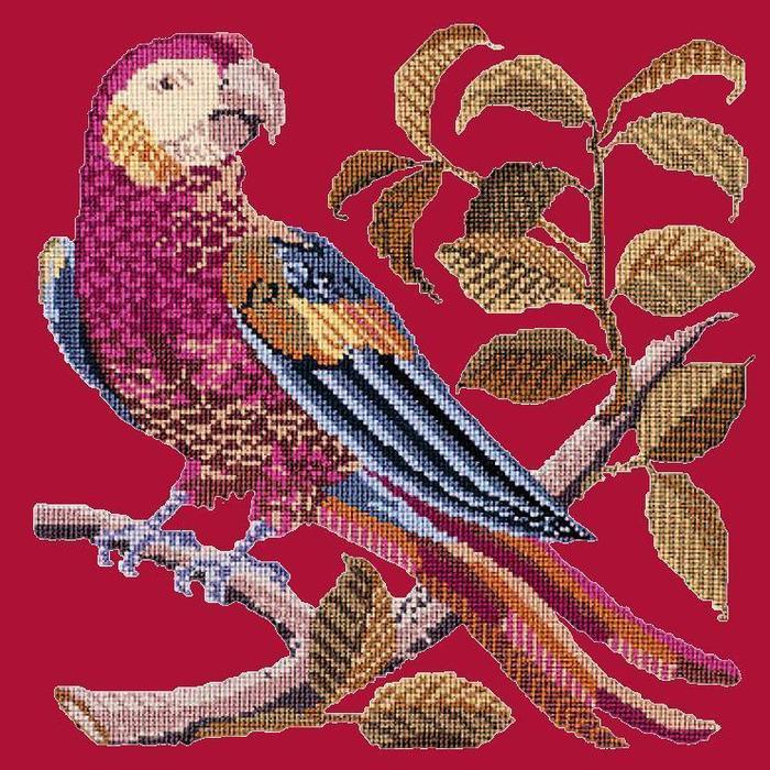 Pete the Parrot Needlepoint Kit Kits Elizabeth Bradley Design Bright Red