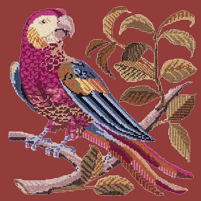 Pete the Parrot Needlepoint Kit Kits Elizabeth Bradley Design Dark Red