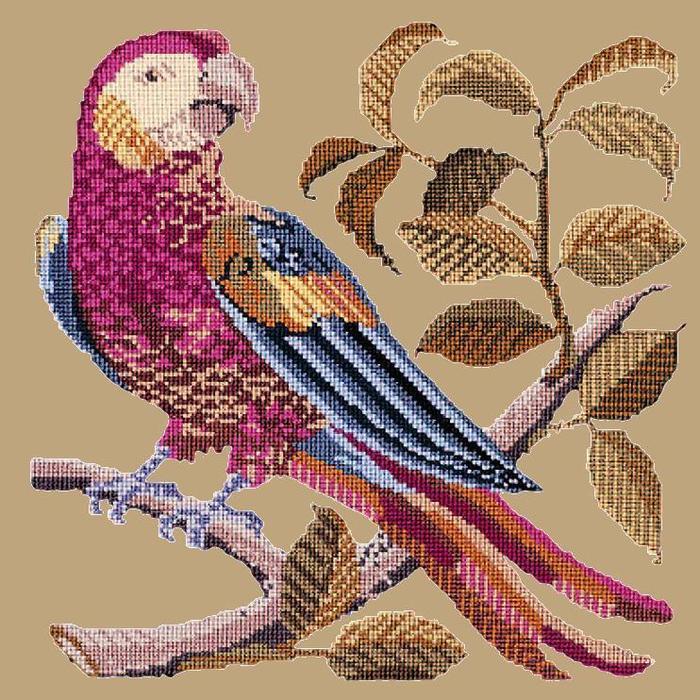 Pete the Parrot Needlepoint Kit Kits Elizabeth Bradley Design Sand 